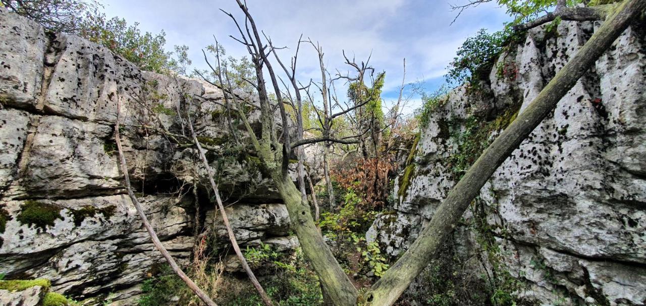 La Grange - Chez Gisi - für Naturliebhaber, Abenteurer und Geniesser Rocles  Exterior foto