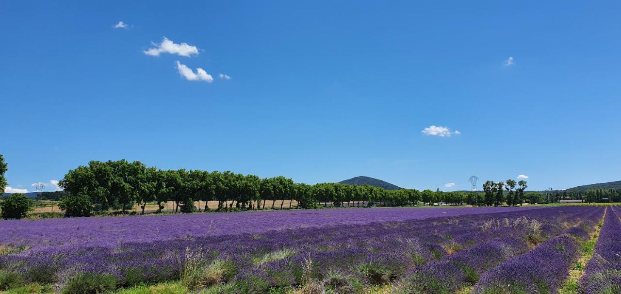 La Grange - Chez Gisi - für Naturliebhaber, Abenteurer und Geniesser Rocles  Exterior foto